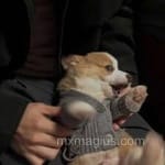 Avatar de Manuel Ortiz